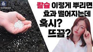 내가 준 칼슘제가 효과가 없다니?! | 농사 100단