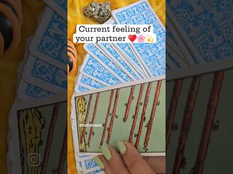 Watch full video #tarotreading #currentenergy #currentfeelings #loveguidance #shortsfeed #trending