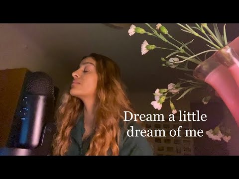 Doris Day - Dream A Little Dream Of Me (cover)