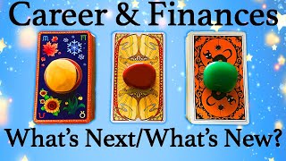 💚CAREER & FINANCE MESSAGES // PATH AHEAD // WHAT'S NEXT? WHAT'S NEW? 🔮Pick A Card🔮 (Timeless)