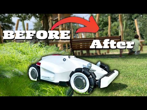 Lawn Care Made Easy: Robotic Mowers for 2025