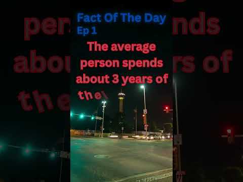 Fact Of The Day| Ep 1| Traffic light #shorts #trending #viral