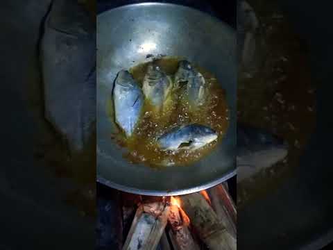 Tilapia Frying ASMR 🐟🐠🇵🇭 #tilapia #asmrcooking #frying #fryingfish