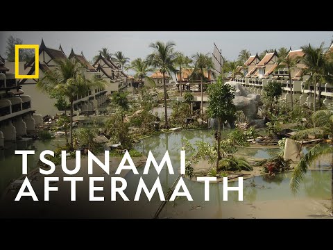 The Aftermath of the 2004 Tsunami | Tsunami:  Race Against Time | National Geographic UK