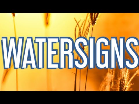 WATERSIGNS- Your person is working hard on themselves because they want you back.