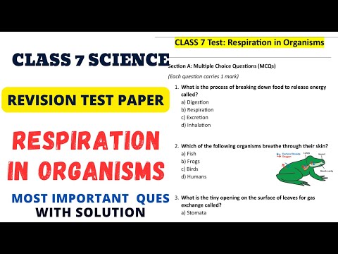 I Took A Class 7 Science Test