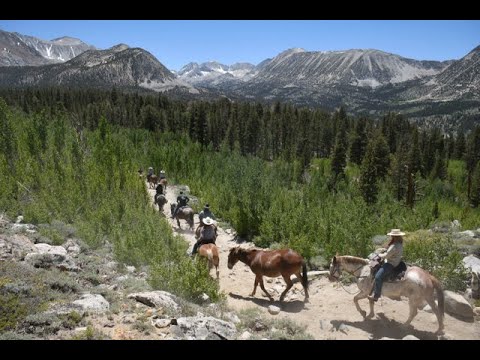 Weekend appointment TV! High country horse drive: John Wayne's costumer; the Hollywood Buffalo herd!