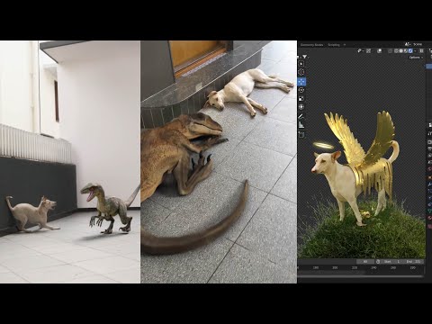 I used VFX to Transform my Dog