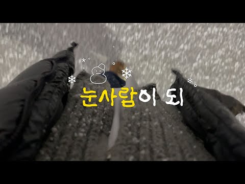 vlog. 눈사람이 되 (먹고자고뜨개질 / 한파주의보인데 농장가기 / 페어필드 커피)