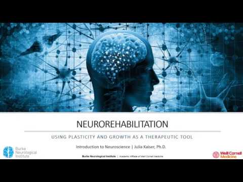 Introduction to Neuroscience  - Neurorehabilitation