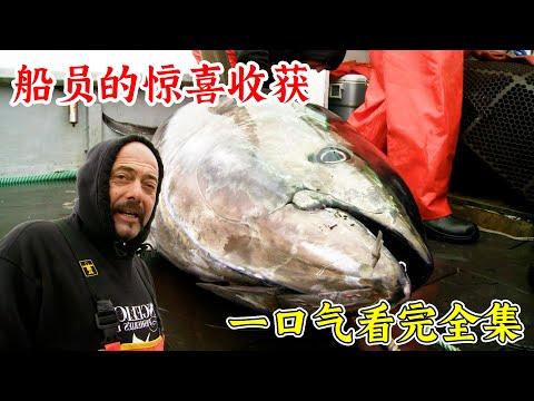 一口氣看完捕魚生死鬥第一季全集，太猛了，船員捕獲巨型藍鰭金槍魚，一個賺了上百萬！紀錄片