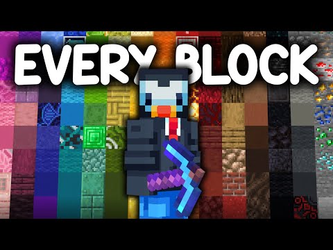 I Collected Every Block On The Hive