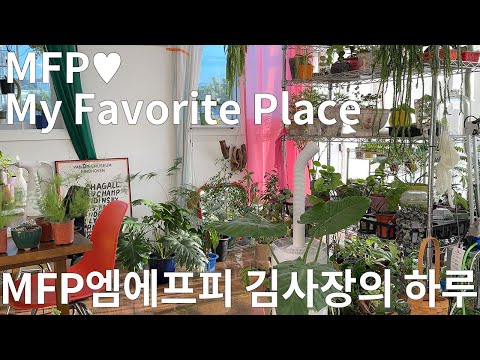 vlog. 식물가게 사장의 하루. (드디어 엠에프피 식물들 / 수박바페페 에디샨 / 물주기 팁 / 고려담쟁이 물방울 / 퀴즈 이벤트)