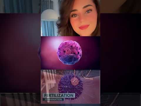 How Fertilization happens | 3D Animation #medicalstudent #medicalinformation