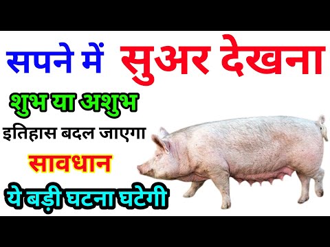 Sapne Me Suar Dekhna । सपने में सुअर देखना । Seeing Pig in Dreams | Suar Ka Sapna Dekhna