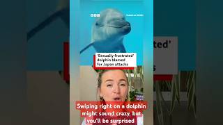 Swiping Right on a Dolphin?! #Japan #Dolphin #Mihama #Tsuruga #BBC