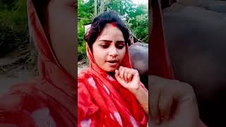 new Bhojpuri Songs #khesarilalyadav #pawansingh #samarsingh