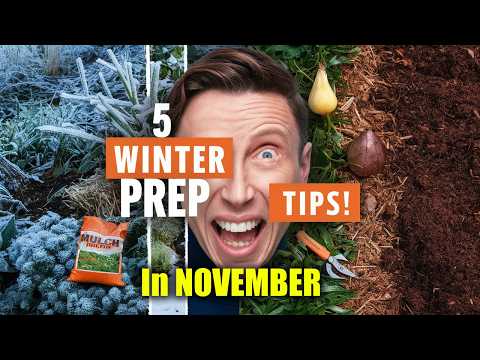 Winter Success Starts NOW! 5 Essential Tips for November Garden Prep