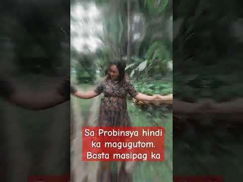 Hindi ka maguguto. Sa Probinsya basta masipag ka magtanim #teamvaldezvlog