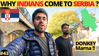 First Day in Belgrade I Why Indians come to Serbia ? 🇷🇸