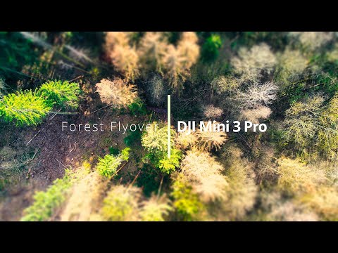 Mesmerizing Drone Footage: Serene Forest Scenery Captured with DJI Mini 3 Pro