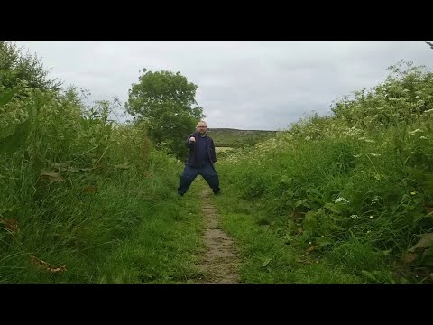 Richard Dawson - Horse and Rider (Official Video)