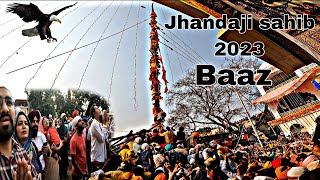 jhande ji sahib 2023 | dehradun ka jhanda Arohan @DarbarShriGuruRamRaiJi @Captain_Rider_07