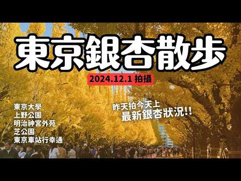 2024東京銀杏5景點最新狀況(2024.12.1拍攝)💛東京大學 上野公園 明治神宮外苑 芝公園 東京車站行幸通｜東京11月12月旅遊必去 4K VLOG