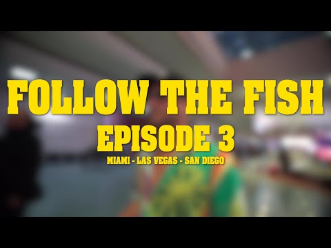 FOLLOW THE FISH TV EP. 3: THE HAT TRICK!