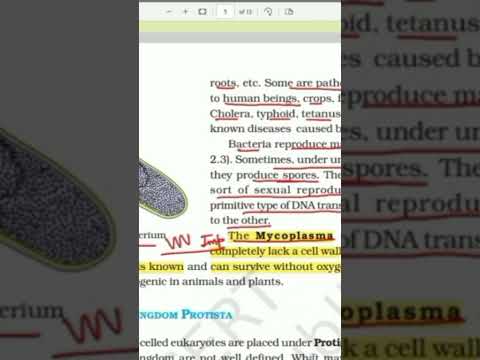 @Shubhbiologybuddy The Mycoplasma #neet #neetbiology #neetexam #neetpreparation