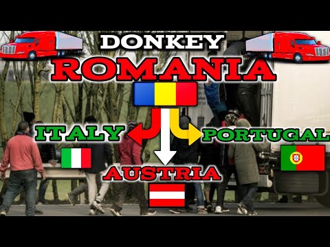 romania to italy donkey | romania to portugal  | Romania to portugal donkey | Romania donkey italy