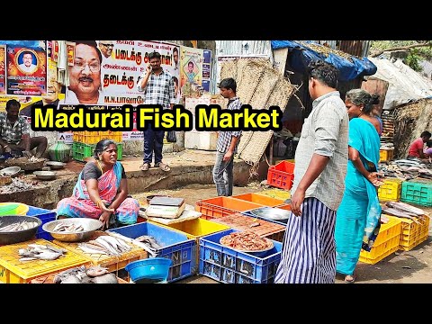 Madurai Fish Market Walking Video | MG TRAVELLER