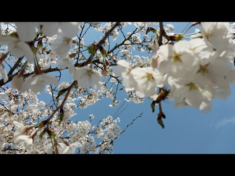 농막 체류형쉼터가 인구소멸, 저출산, 자살율 세계1위 해결책이다. 역대급 토지개혁 농지법개정, 귀농귀촌할 국민 정산건강위한 주말농장, 정부와 정치인들 부터 촌으로 가라! 촌스런~