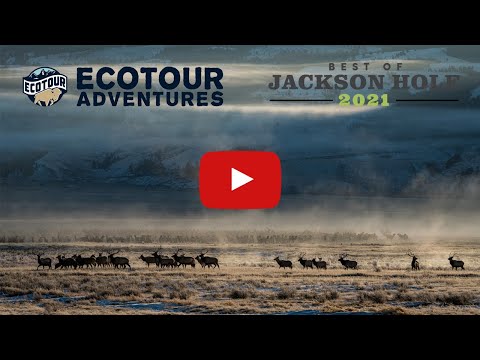 Vote EcoTour Adventures for Best of Jackson Hole!