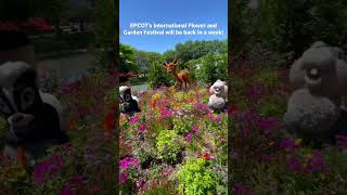 One week countdown- March 1st #epcot #flowerandgardenfestival #flowerandgarden #disney #disneyworld