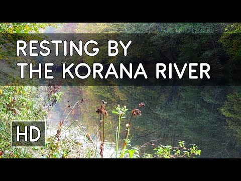 Ambiance: Resting by the Korana River with Sounds of Birds and Soft Music - HD Virtual Travel