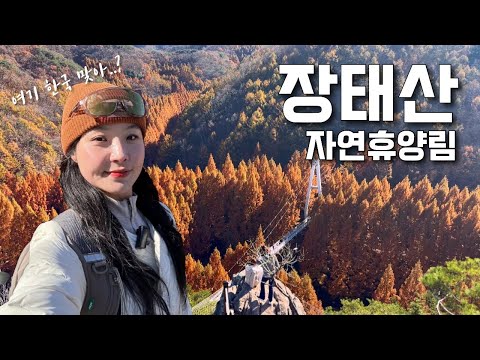 대전 #장태산자연휴양림 가을동화 속으로🧡 등산 브이로그 | 가을산행 | 장태산 | 등산추천 | 메타세콰이아 | 혼산 | 한국여행 | 하이킹 | 트레킹 | trekking