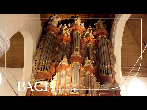 Bach - Prelude and fugue in E minor BWV 548 - Smits | Netherlands Bach Society