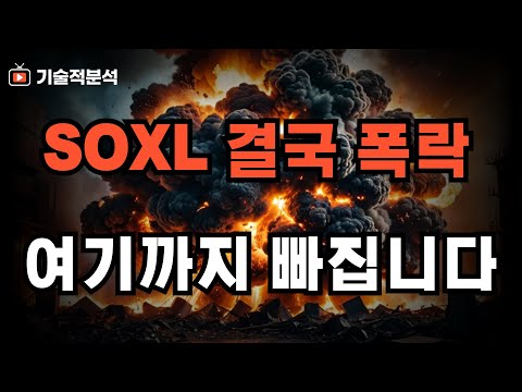 SOXL 엔비디아 폭락 흐름 하락은 어디까지? ｜테슬라 투자 방향은!?