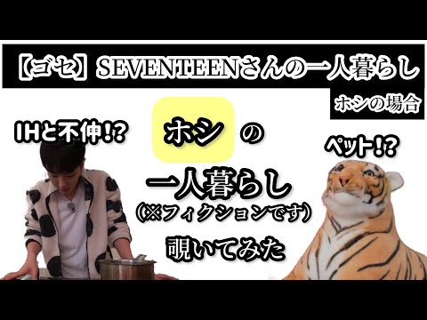 【セブチ日本語字幕】ホシの一人暮らし