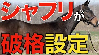 最上級の実績と血統で250万円！シャフリヤールが破格の価格設定。