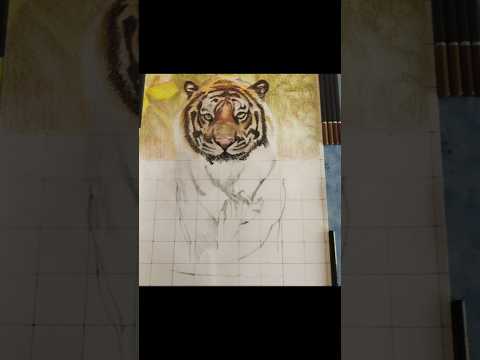 cool tiger drawing part 2 #shorts #art #tigerdrawing #tiger