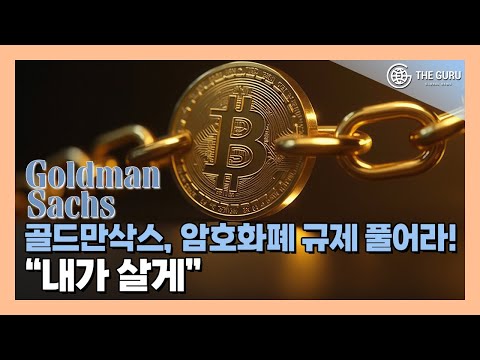 골드만삭스 CEO "미국 규제 완화되면 비트코인·이더리움 시장 직접 참여"