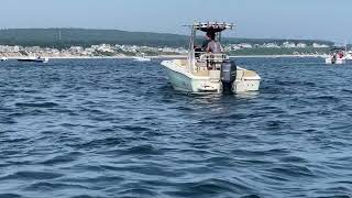 Humpback Whale Breached and Landed on Our Boat || ViralHog