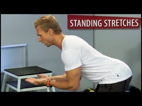 Standing Stretches: Arms & Lower Back | Cool Down- Steve Jordan