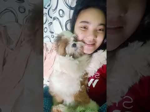 Clingy Mocha( Morning routine)