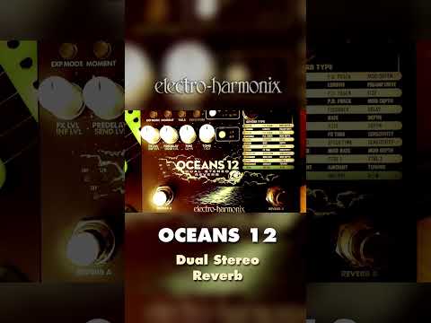 EHX Oceans 12 Dual Stereo Reverb Pedal Demo