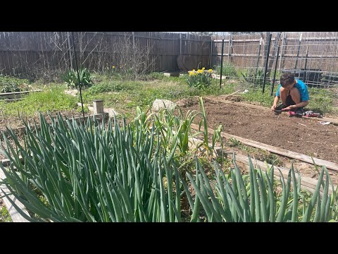 North Texas Permaculture Garden Spring 2024 | Spring Preparation