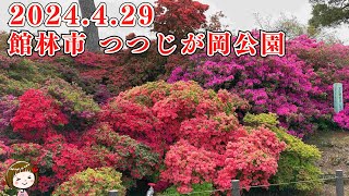 2024.4.29撮影 つつじが岡公園（群馬県館林市）