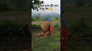 #villagelifenepal #shortsvideo #youtubeshorts #nature #hardworking #farming #nepal #tanahun 🤗🤗